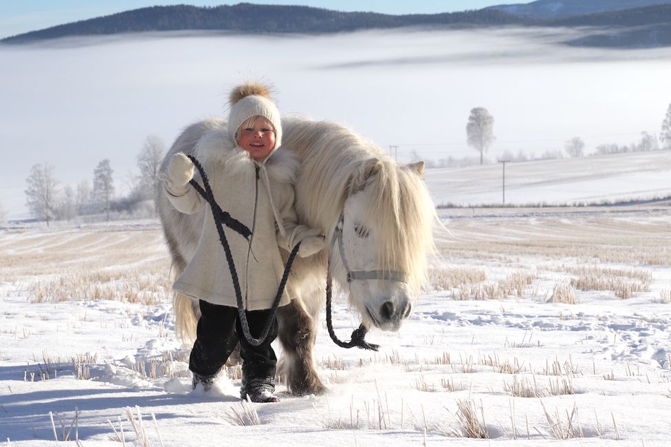 liten jente liten hest snø