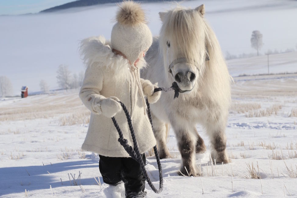 liten jente liten hest snø