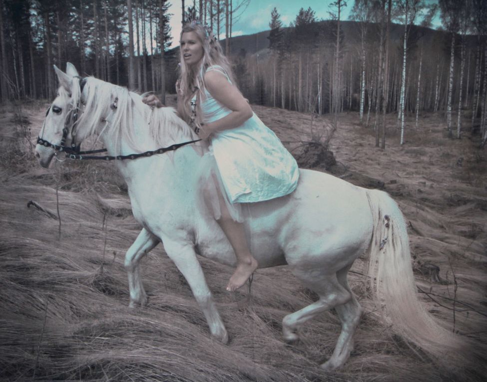 fairtytale  horseback white horse girl 