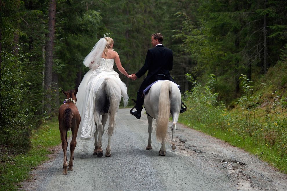 Wedding, horse, fairytale , forest, princess
