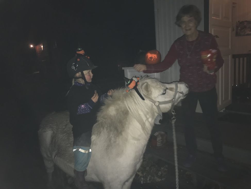 halloween lykt hest