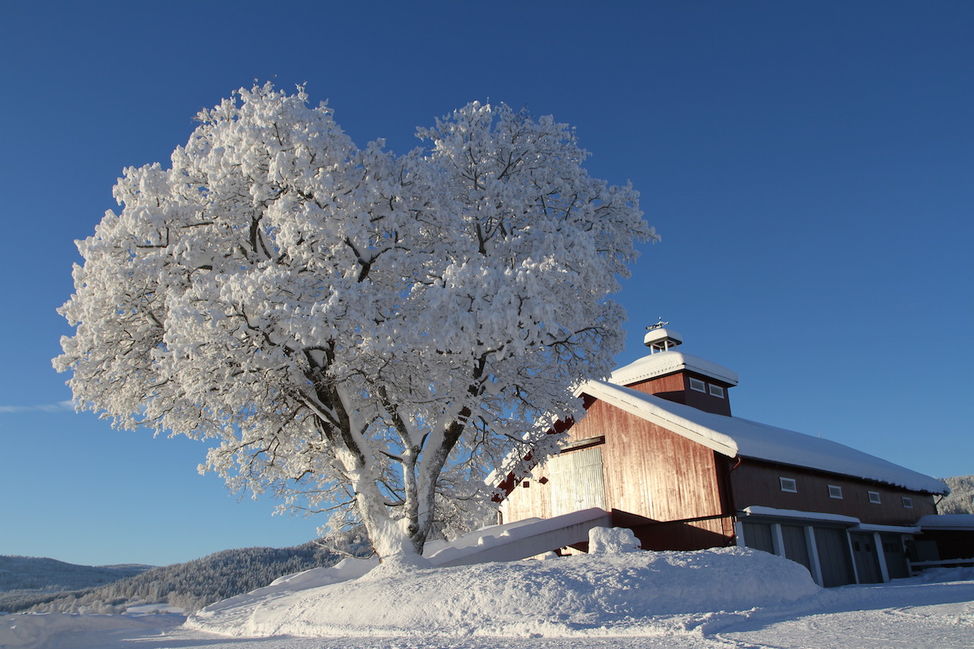 farm winter snow Norway 