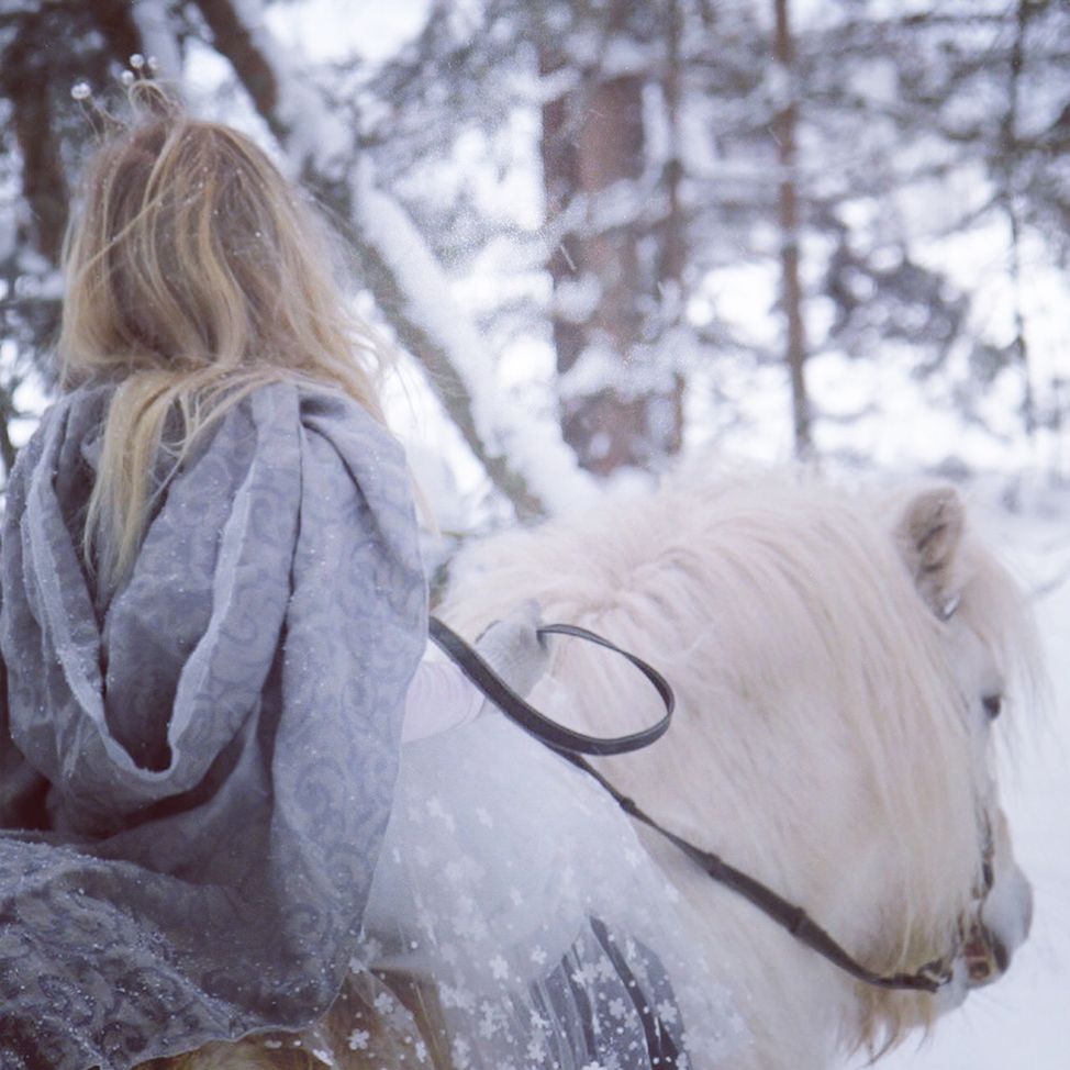 fairytale girl princess white pony snow forest 