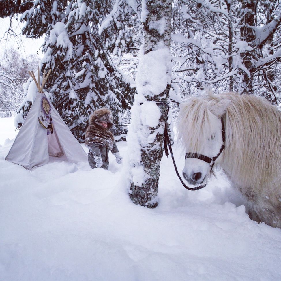 fairytale boy teepee tent indian artic white pony snow forest 
