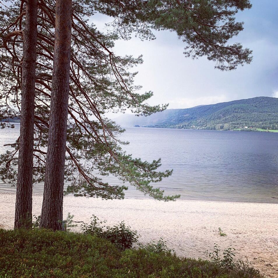 badstue strand glassvegg natur retreat NORD