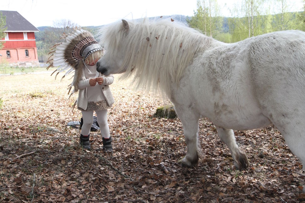Indianer jente ponni