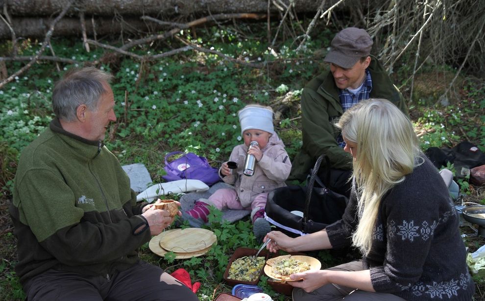 lunsj in the forest 