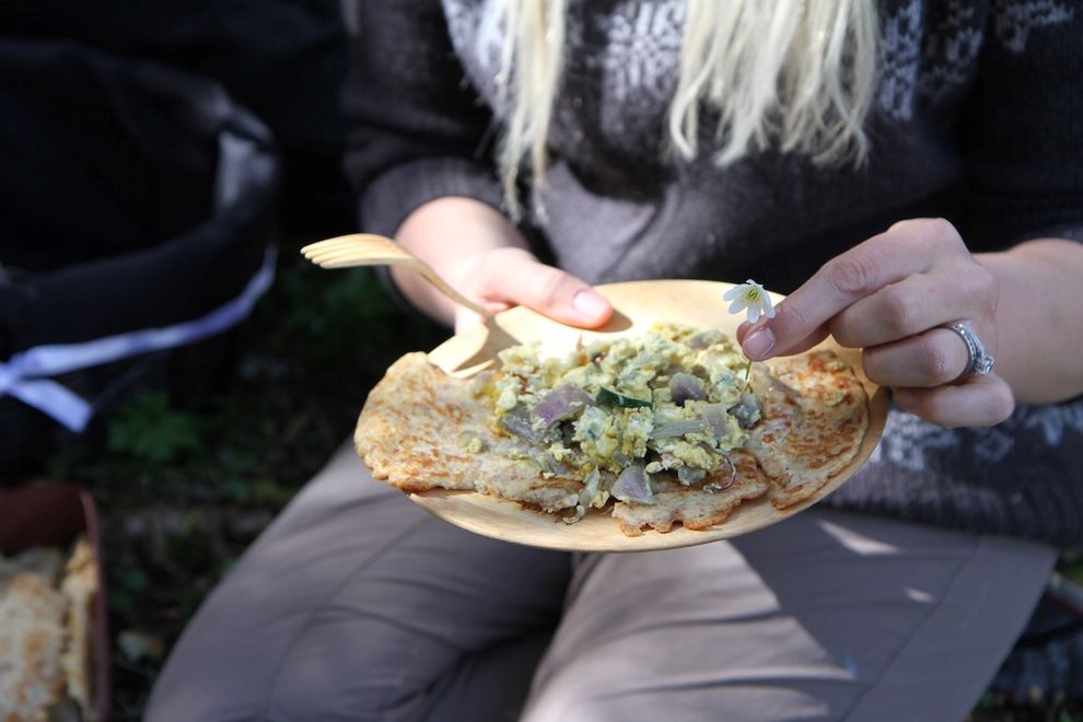 lunch in the wild forest