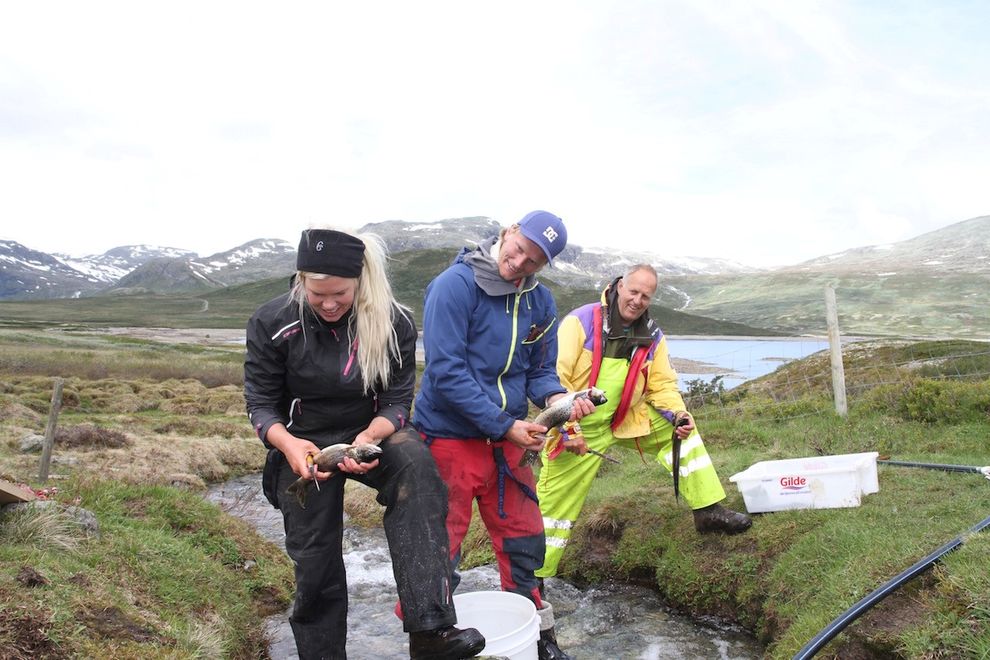 mountain fishing