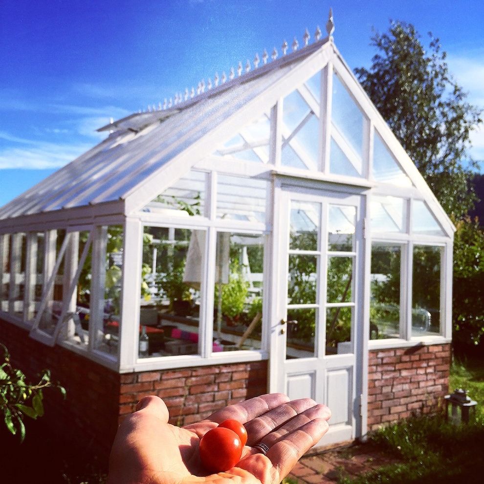 orangeri greenhouse 