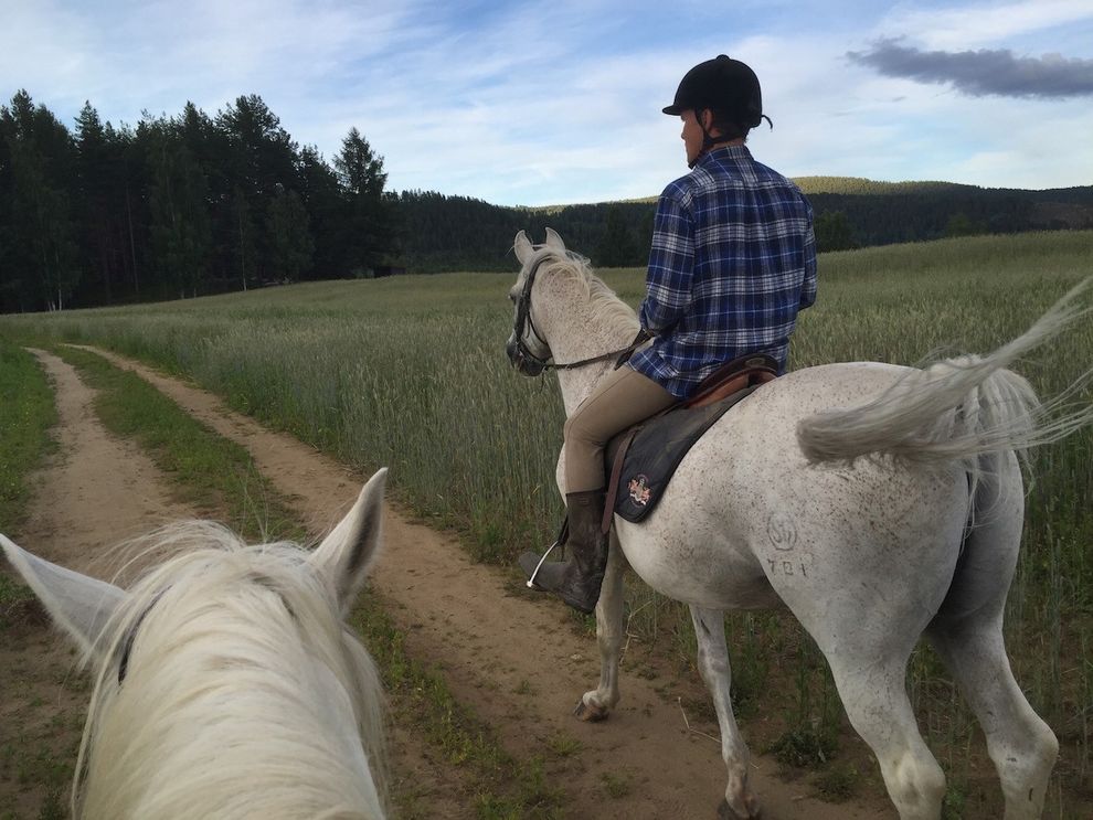 horsebackriding white horses fields