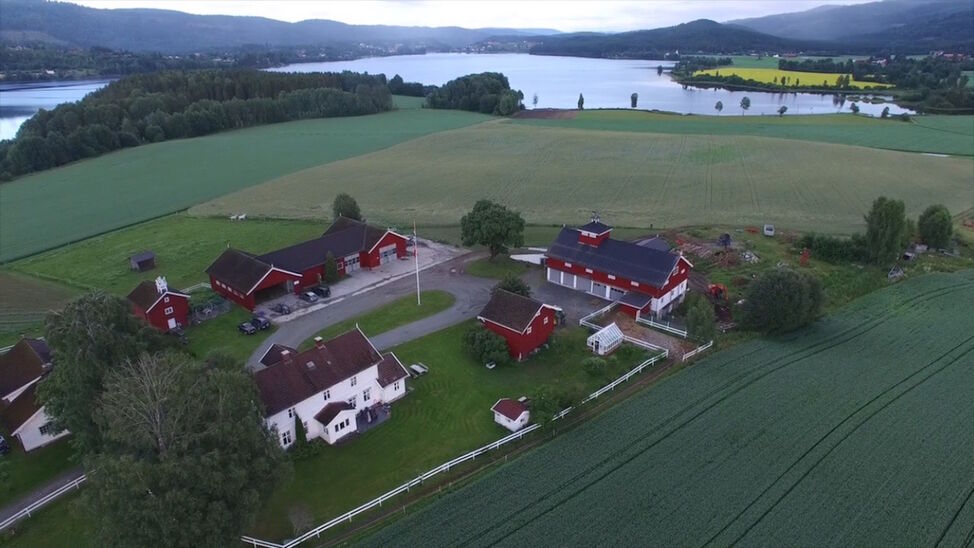 nedre skinnes gård