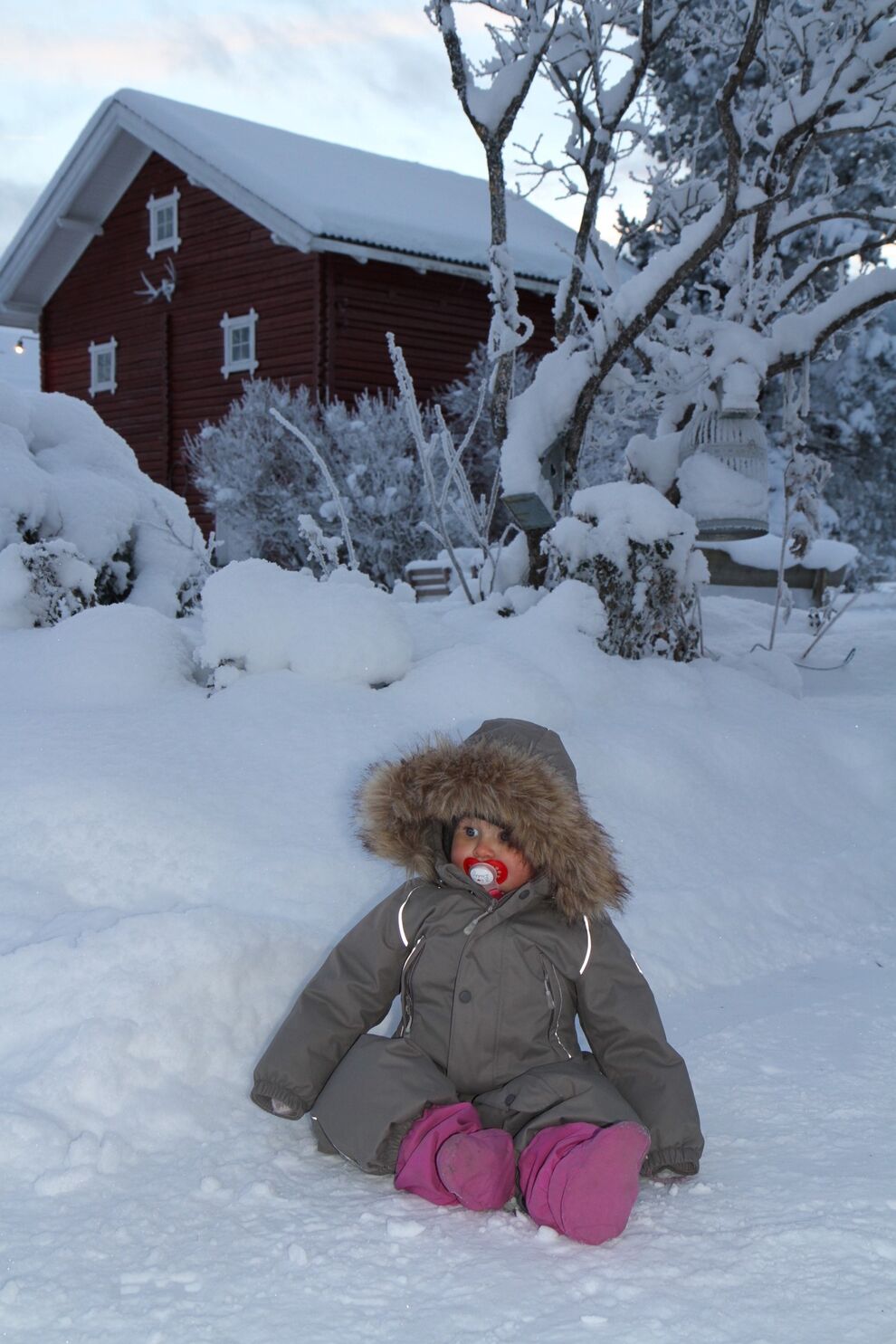baby snow farm