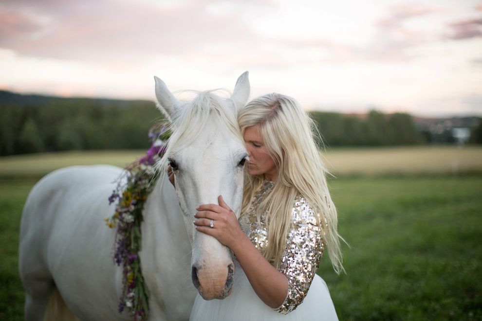 white horse angel unicorn