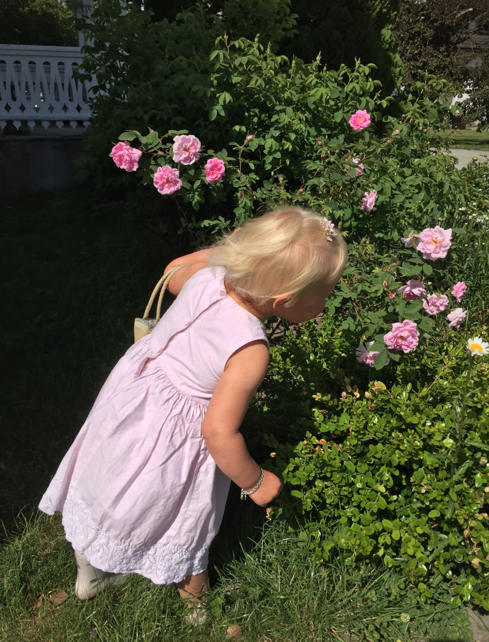 litle girl smells roses