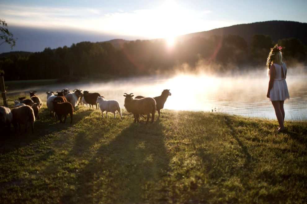 raindeer girl nordic ligth sheep