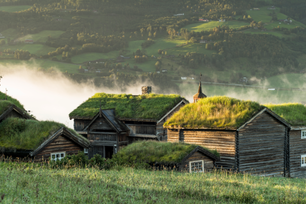 Farmgirl of Norway