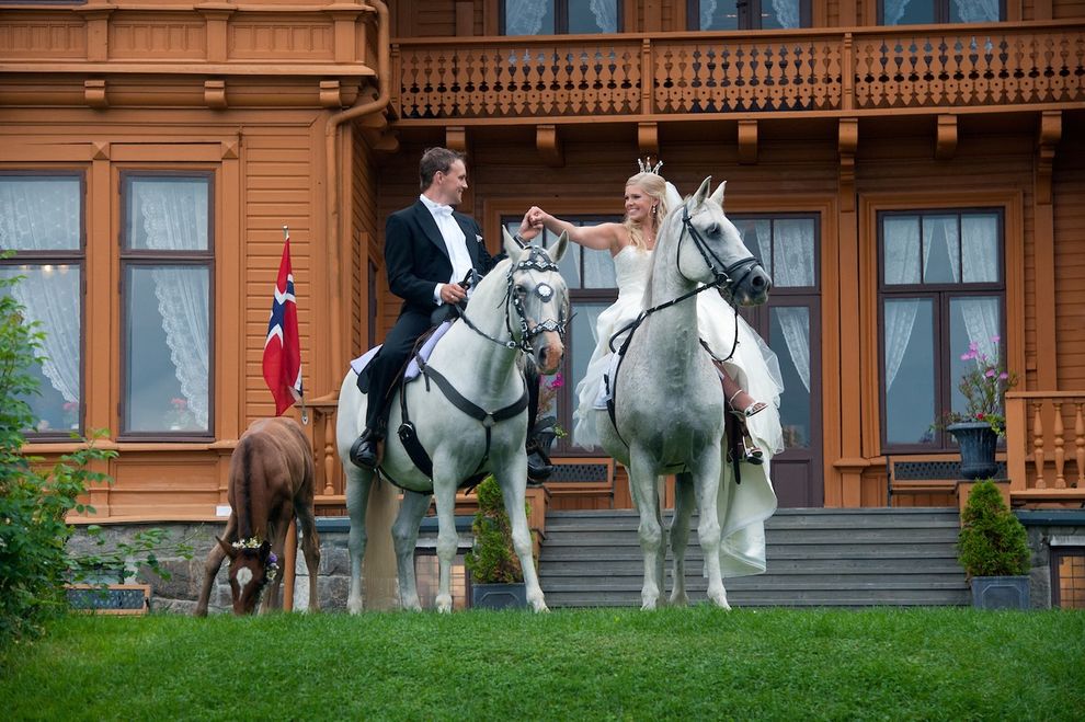 wedding horse fairytale