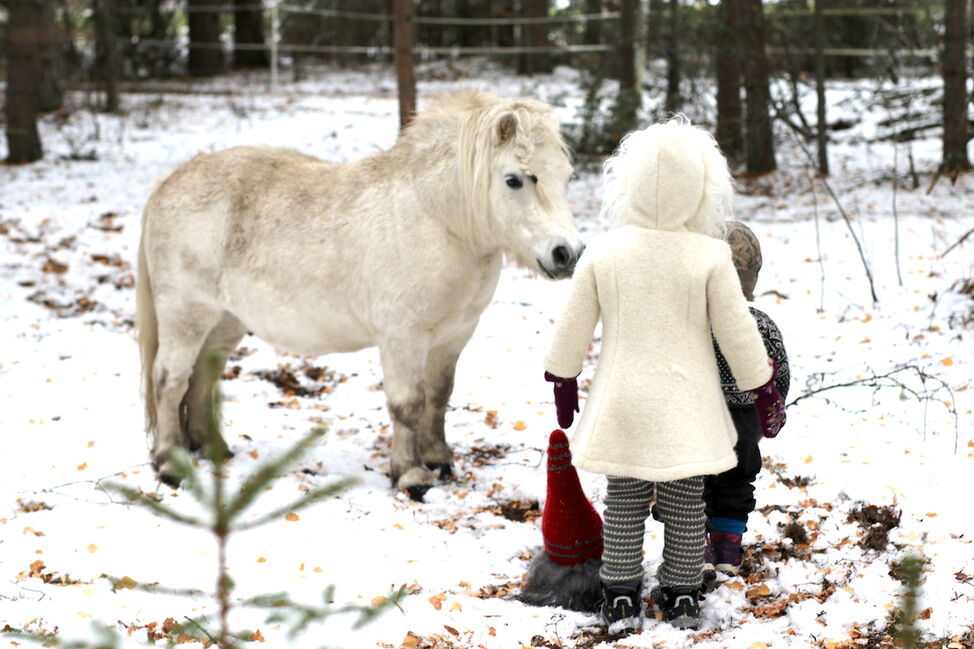 hvit hest ponni julekort 