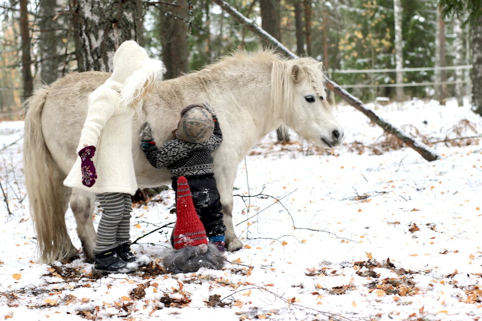 hvit hest ponni julekort 
