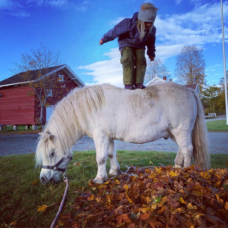 pippi langstrømpe hvit hest barn leiker 