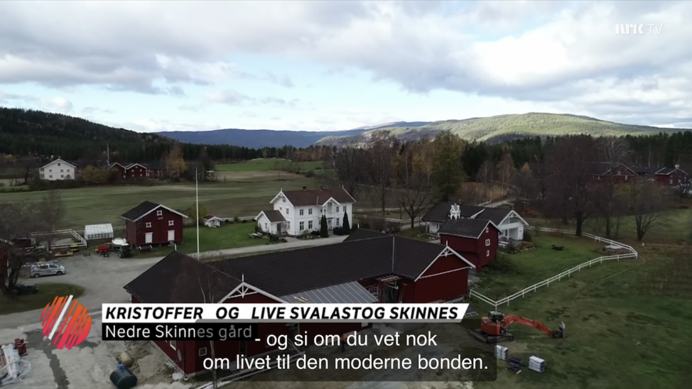 nedre skinnes gård