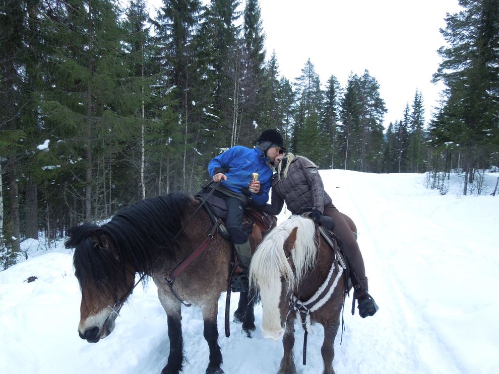 kiss on horseback