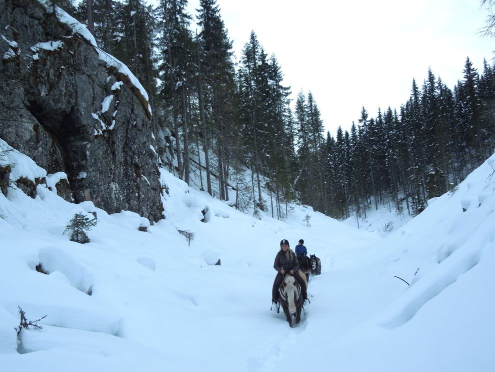 cowboy riding trip moose forest norway