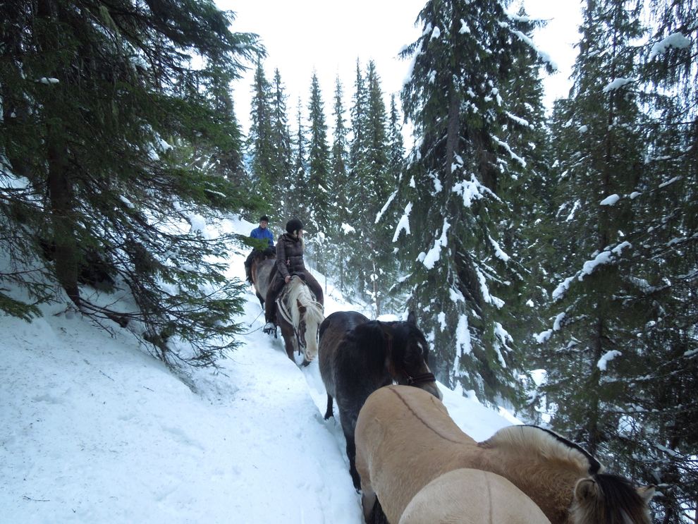 cowboy riding trip moose forest norway