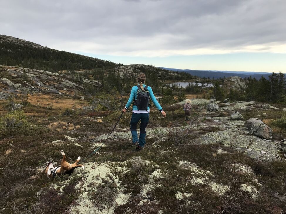 fjelltur