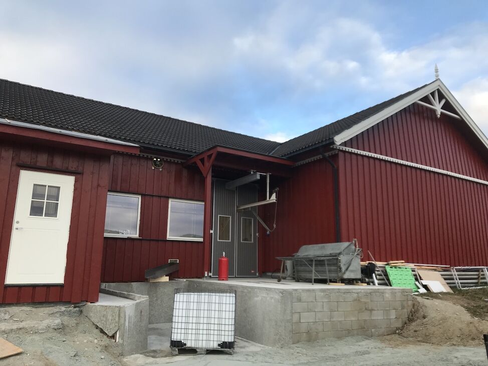 stressfri hjemmeslakt gris sau lam