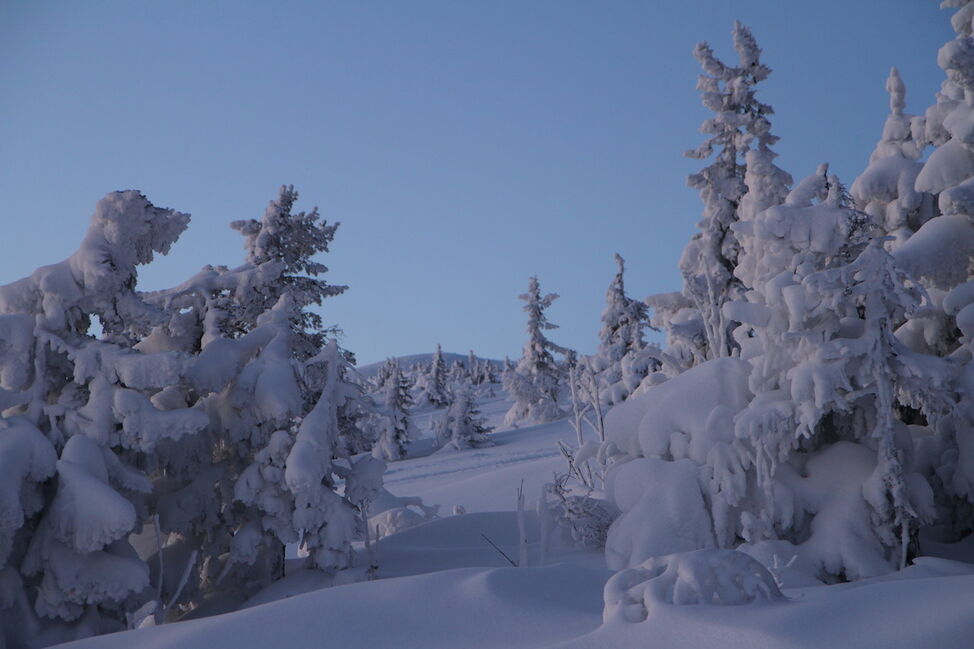 mountain snow norefjell 