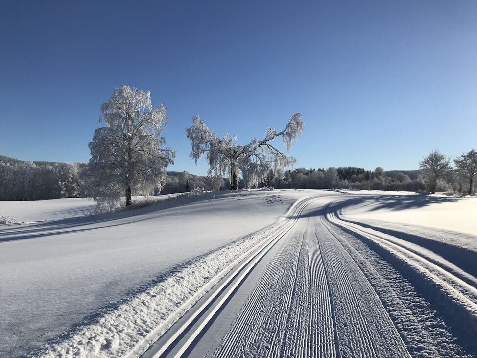 langrenn krødsherad vestsideløypa