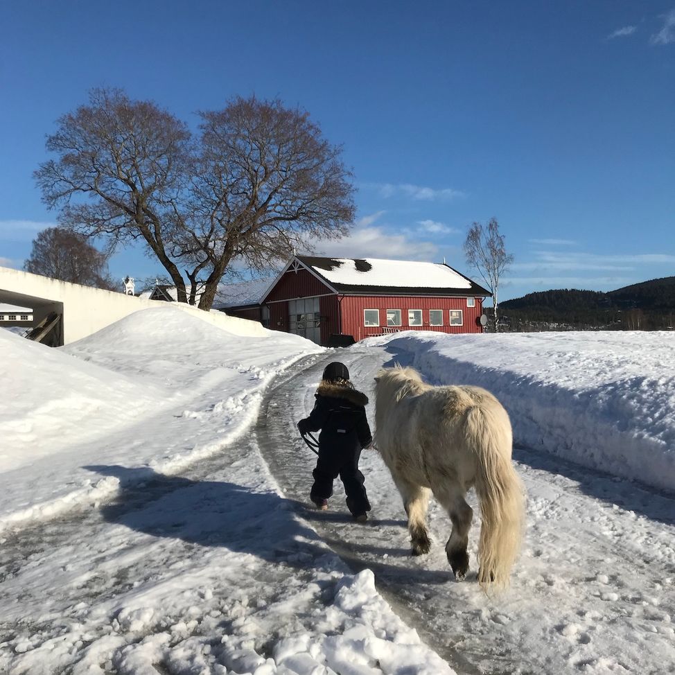 white pony girl