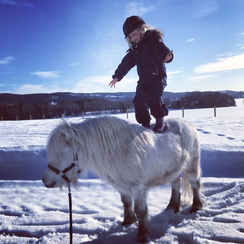 white pony snow girl standing up 