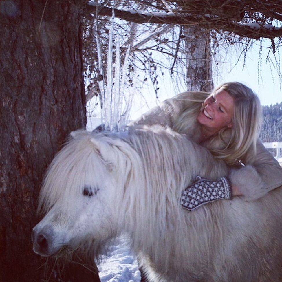 iskrone icecrown horse pony ice queen fairytale