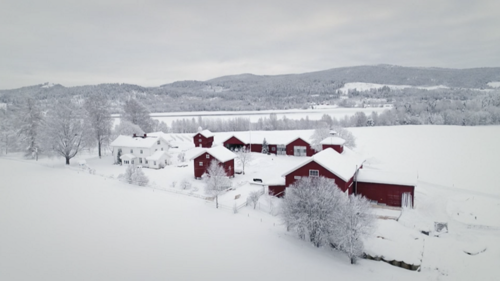 Herlige Hjem jul Nedre Skinnes Gård