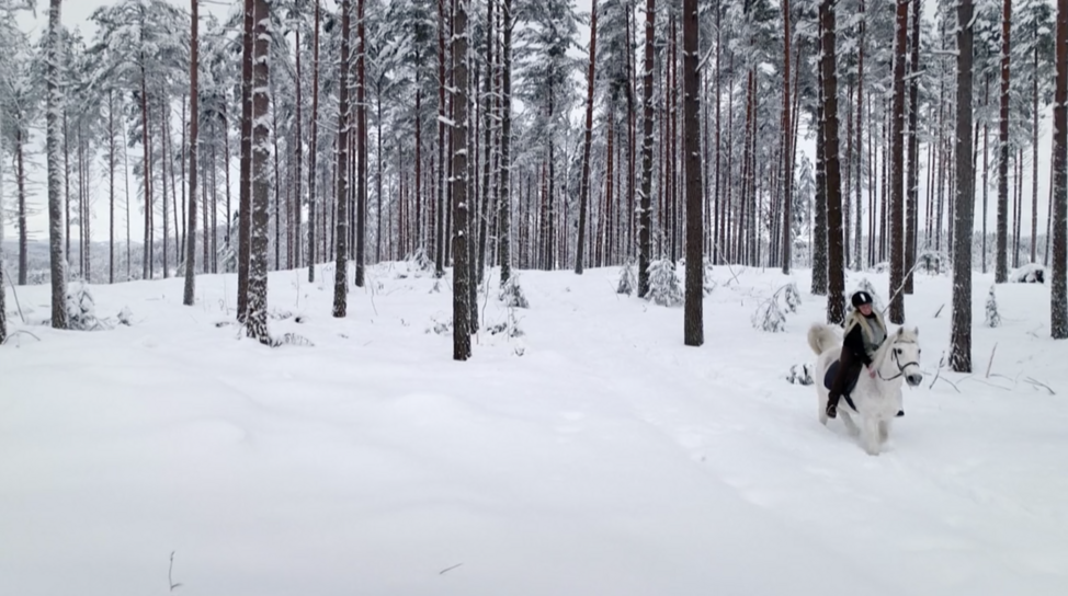 jul askepott live skinnes