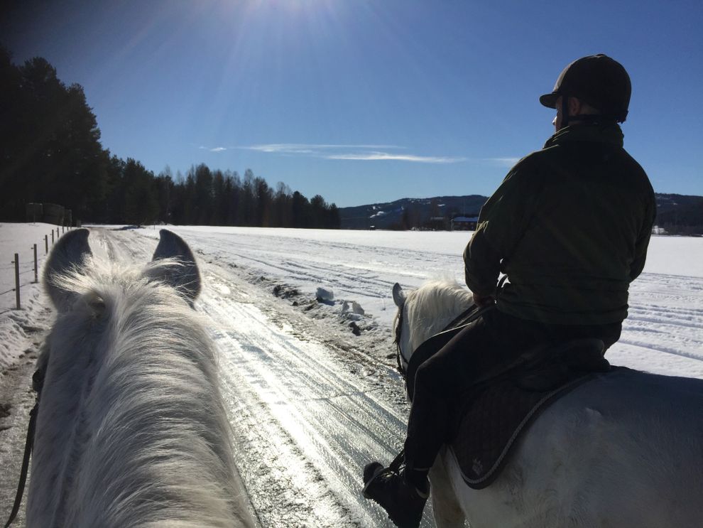 horseback white horses snow