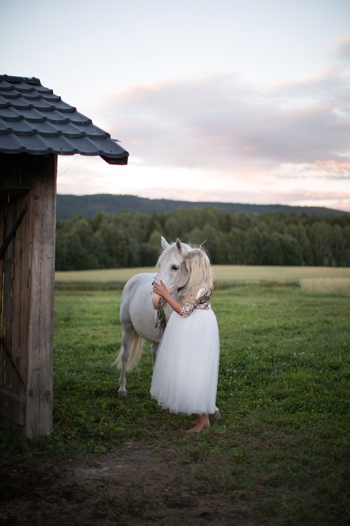 white horse angel unicorn