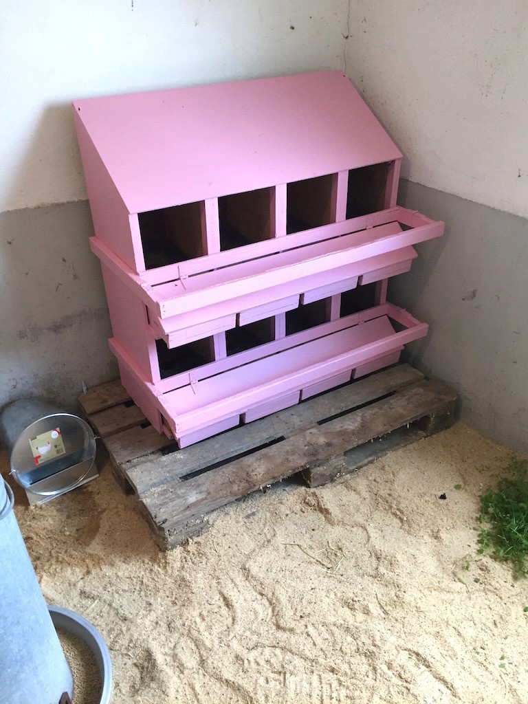 eggbox pink