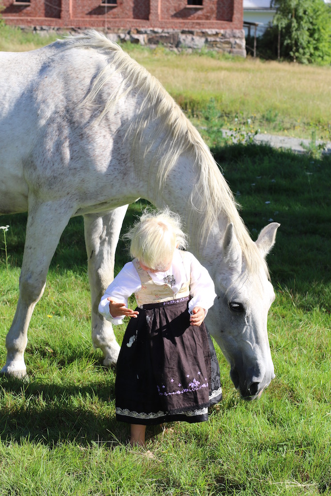 liv bunad hest