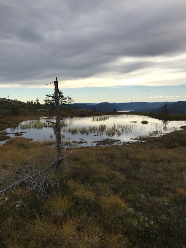trolsk nøkken natur