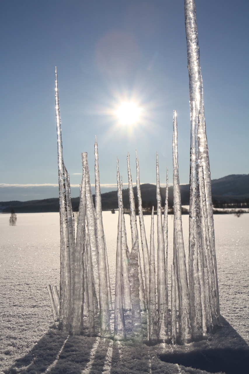 ice lantern ice sticks 