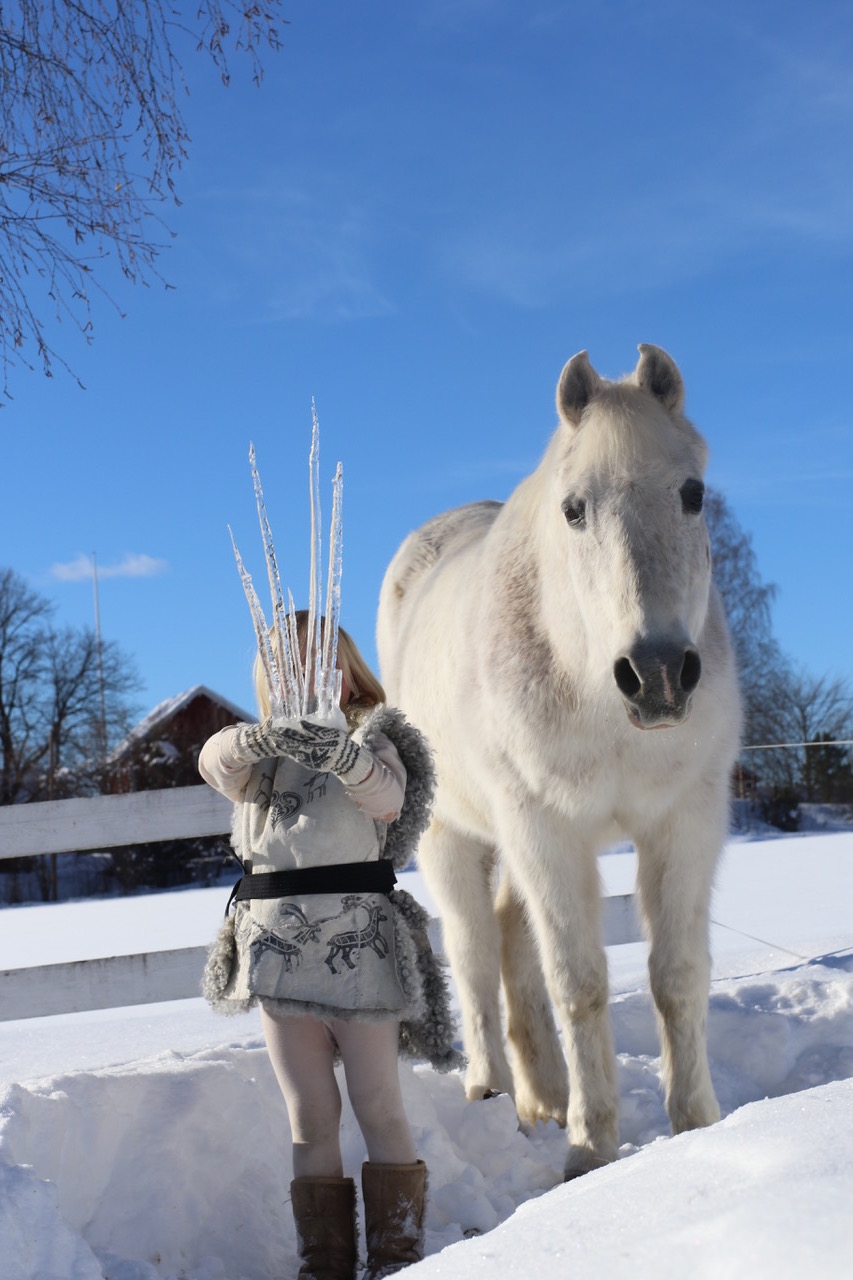 iskrone icecrown horse pony ice queen fairytale