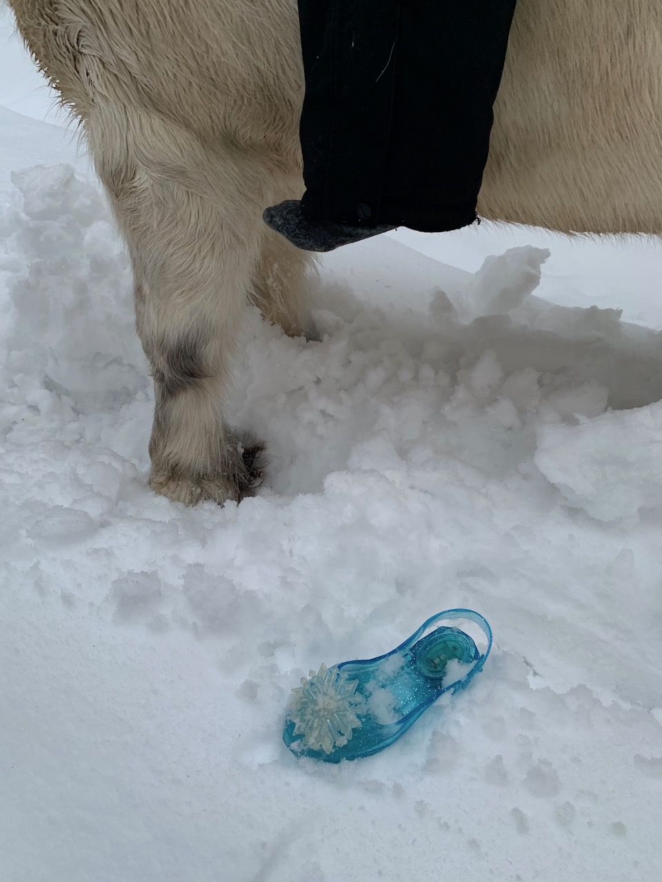 askepott frost sko hest 