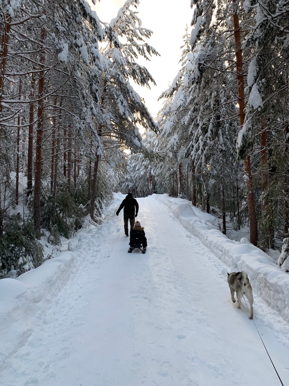 aking i skogen